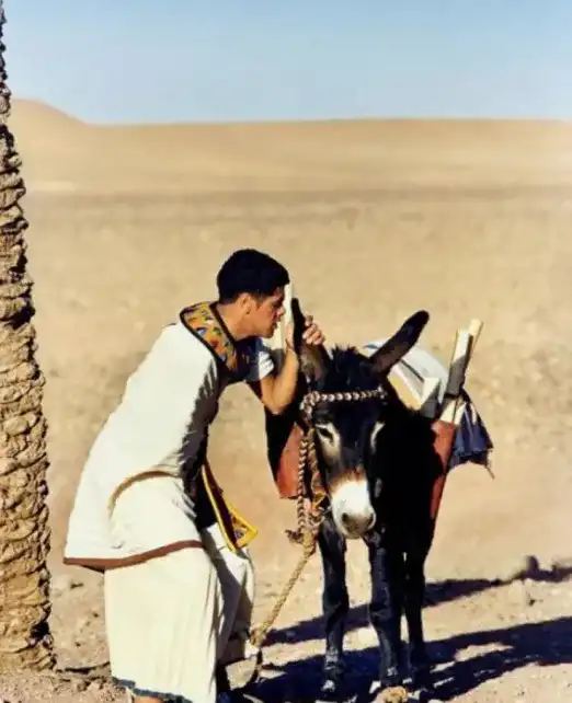 image du film, Jamel Debbouze parlant avec son âne